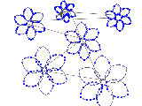 parameterflowers