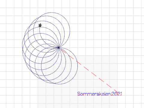 sommerskolen2021