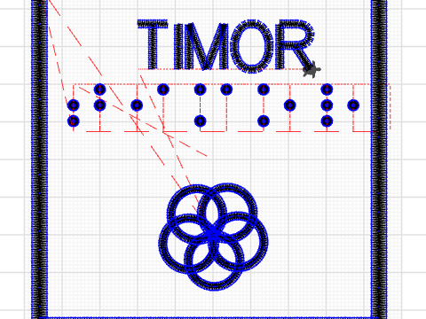 timor in braille 1