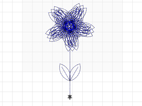 5 petal flower