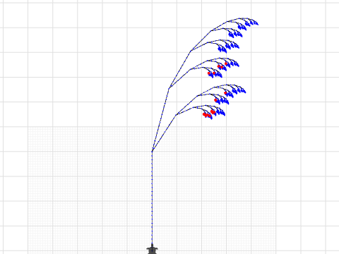 l-system L R