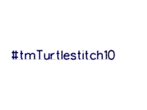 TeachMeet Turtlestitch10