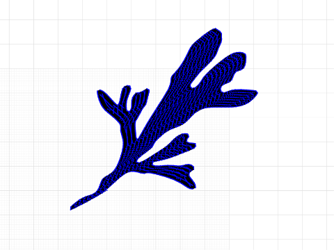 Seaweed -Thank You Simon!