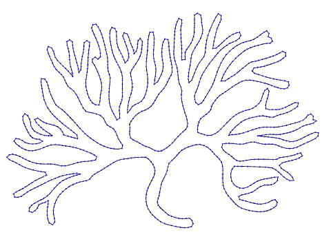 seaweed fingers