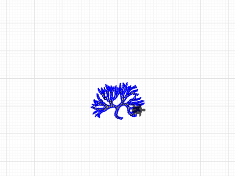 tiny seaweed