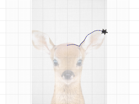 Baby deer