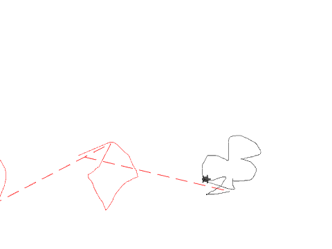 2025 draw for Christmasfcrfrfrfrfshdj