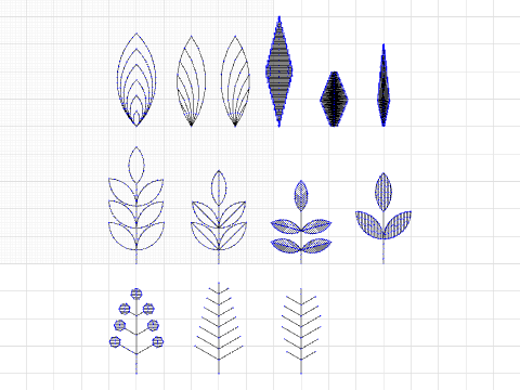 Leaf and Branch Study