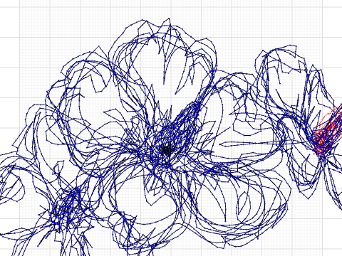 hibiscusflower