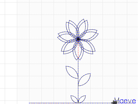 Pretty Petals + Pretty Flowers