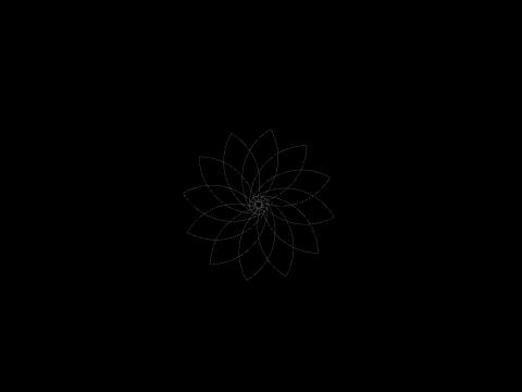 Petal Circle thingy, Gavin