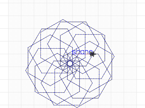 Shane,s project