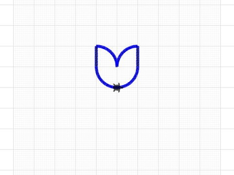 Tulip flower