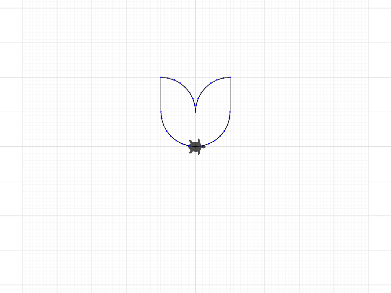 tulip